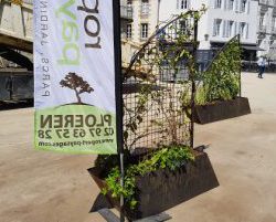Installation Jardins Éphémères Vannes 2017 Ropert Paysages