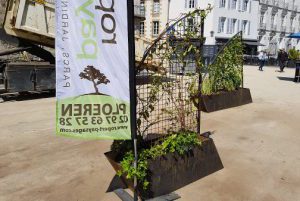 Installation Jardins Éphémères Vannes 2017 Ropert Paysages