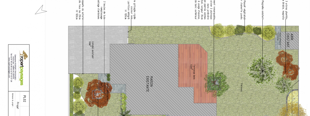 Plan, vue 3D, esquisse d'un jardin avec terrasse